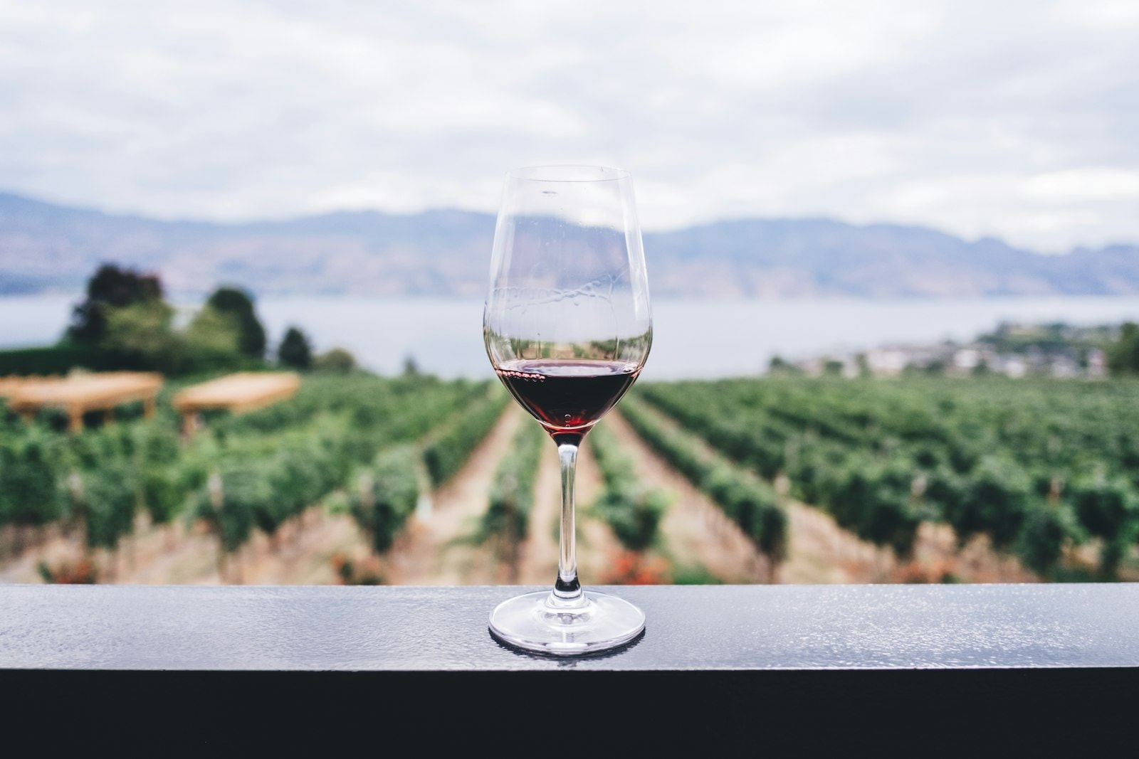 Wine glass over vineyard rows — Douro and beyond